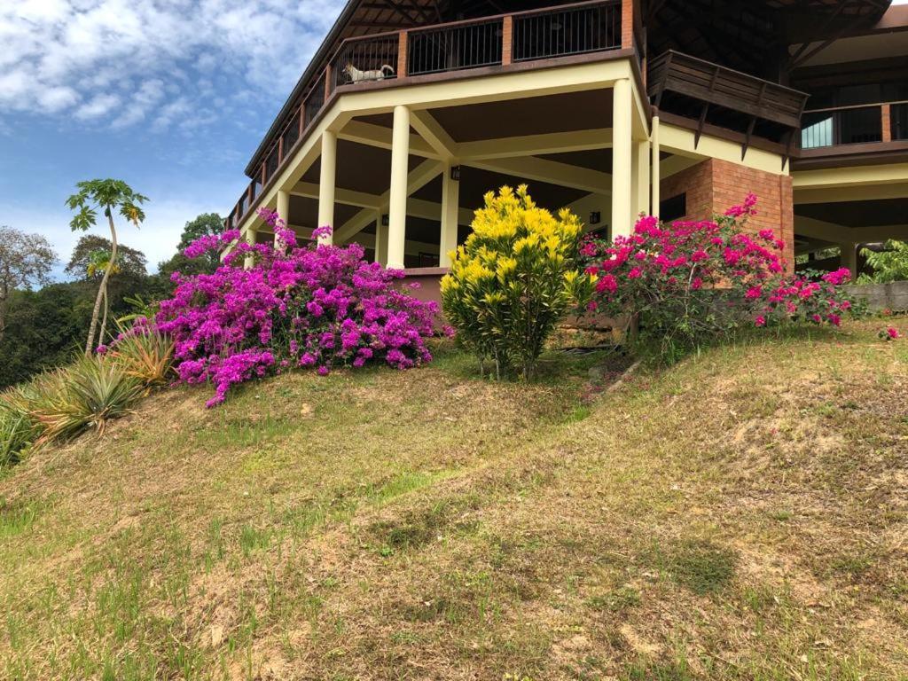 Billion Views Khaosok Homestay Khao Sok National Park Экстерьер фото